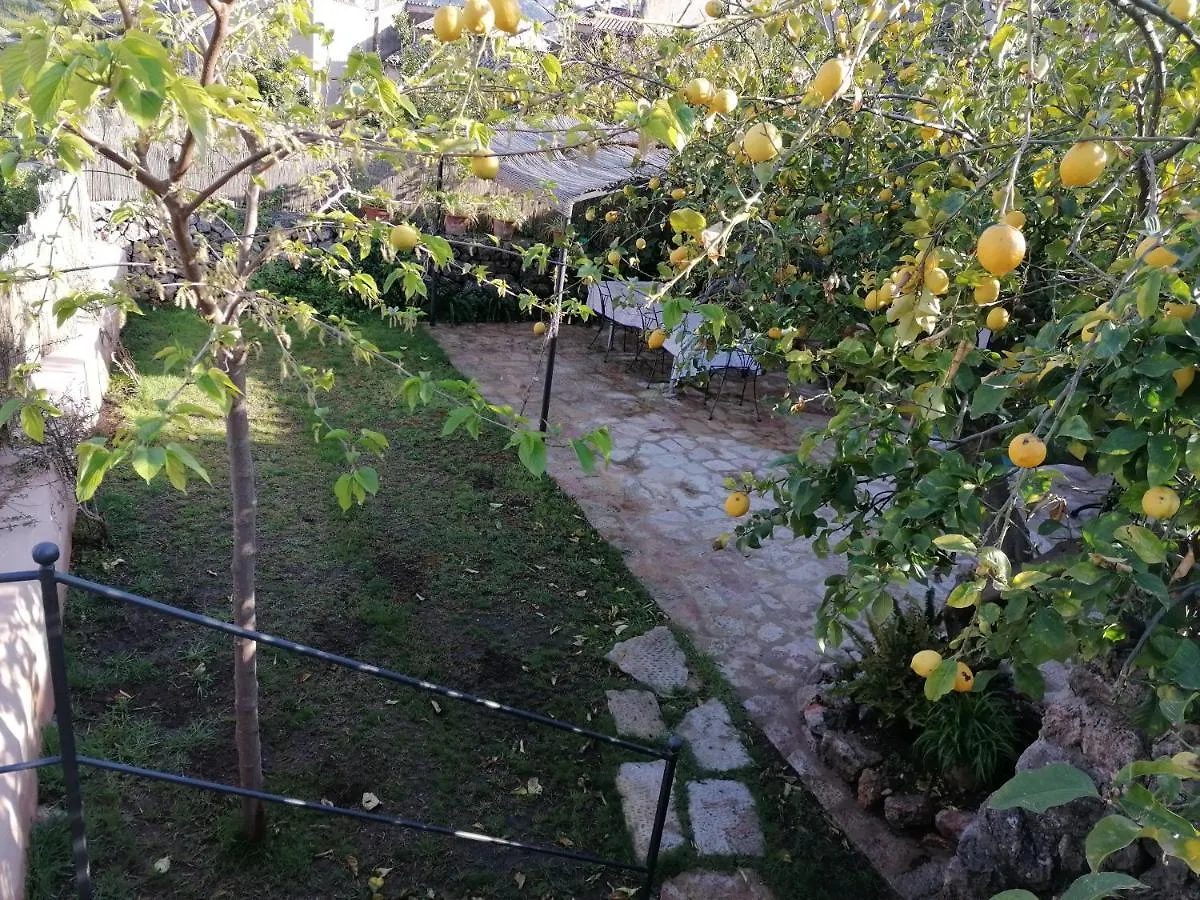 Filoses 18A Valldemossa Spanyolország